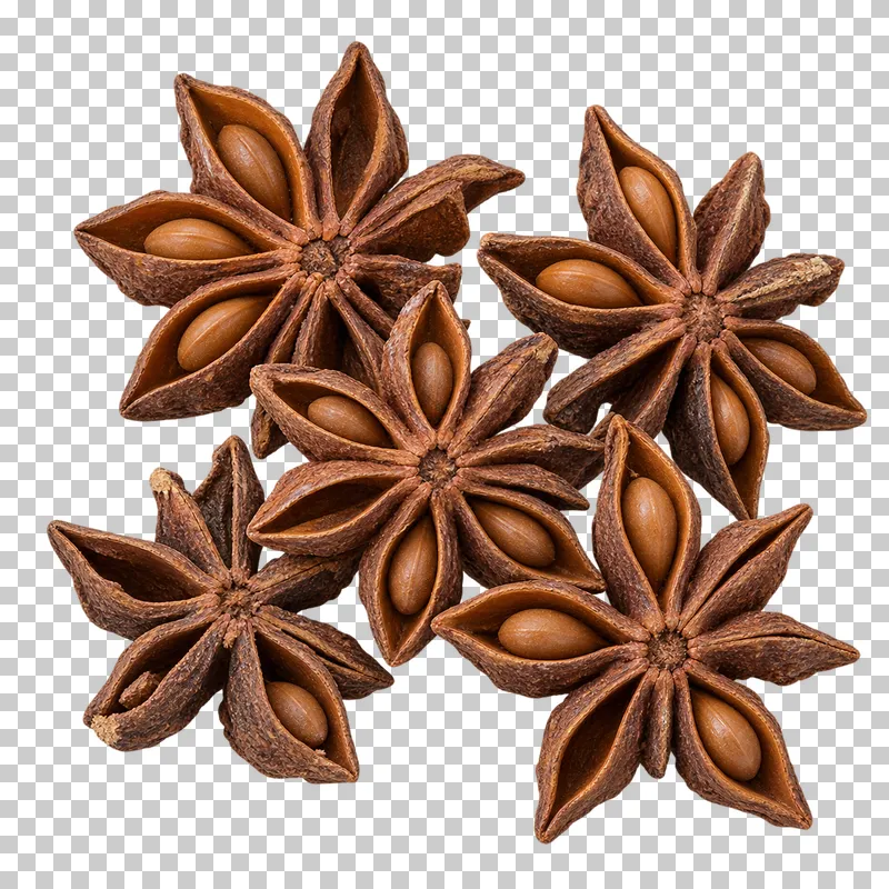 A small group of dry star-anise fruits with weathered woody pods, exposed seeds and irregular chipped tips.