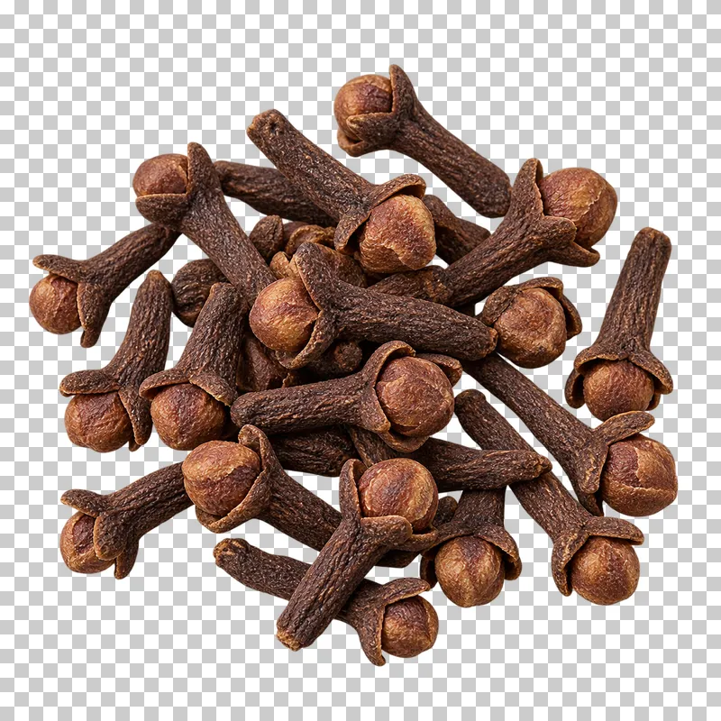 A small group of cloves with dark tapered stems, pointed calyxes and rounded dry buds.