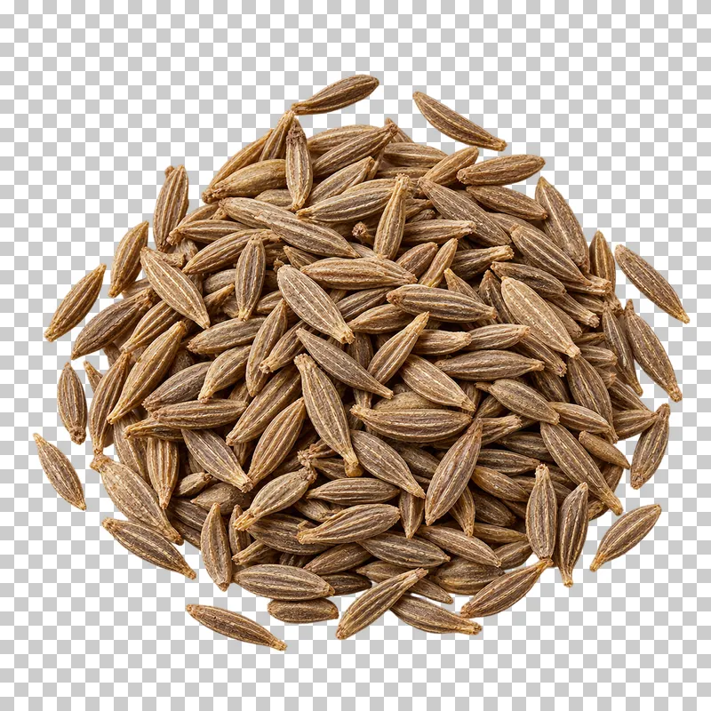 A small mound of cumin seeds with narrow tan-brown forms and fine lengthwise ridges.