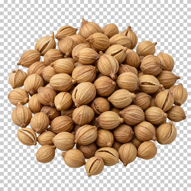 A small mound of coriander seeds with rounded tan forms, ribbed husks and natural seams.