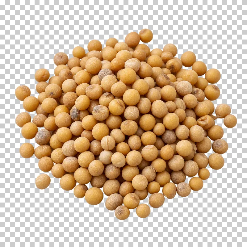 A small mound of yellow mustard seeds with varied round forms and fine dry surface texture.