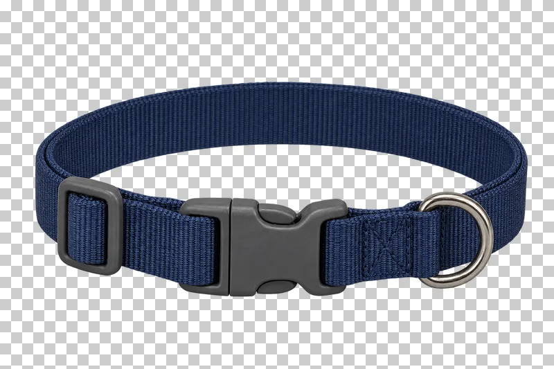 Dog collar in navy nylon, graphite buckle, stainless steel D-ring, photographed as a complete isolated product on a transparent background.