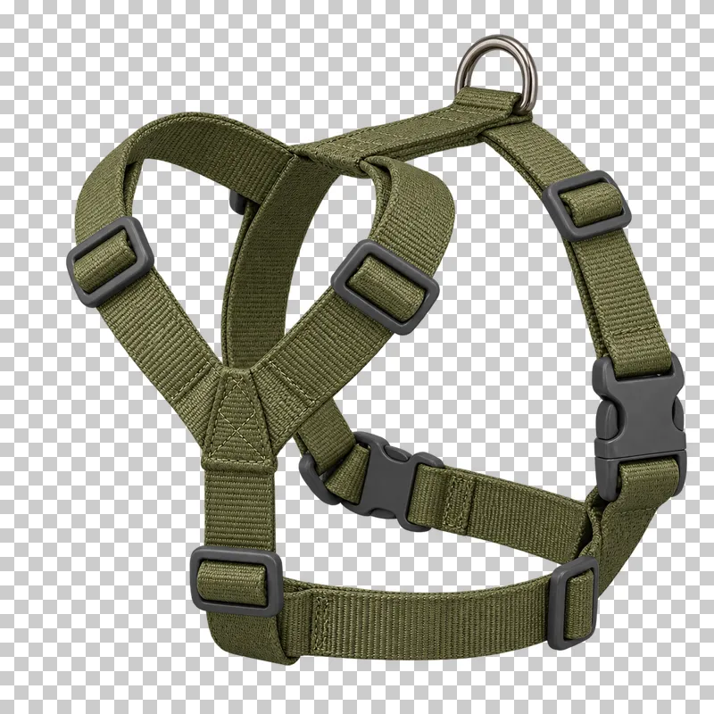 Nylon dog harness in olive nylon, graphite buckles, stainless steel D-ring, photographed as a complete isolated product on a transparent background.
