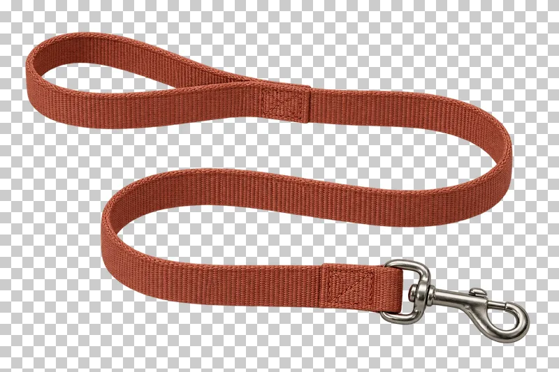 Classic dog leash in terracotta nylon, stainless steel swivel snap hook, photographed as a complete isolated product on a transparent background.