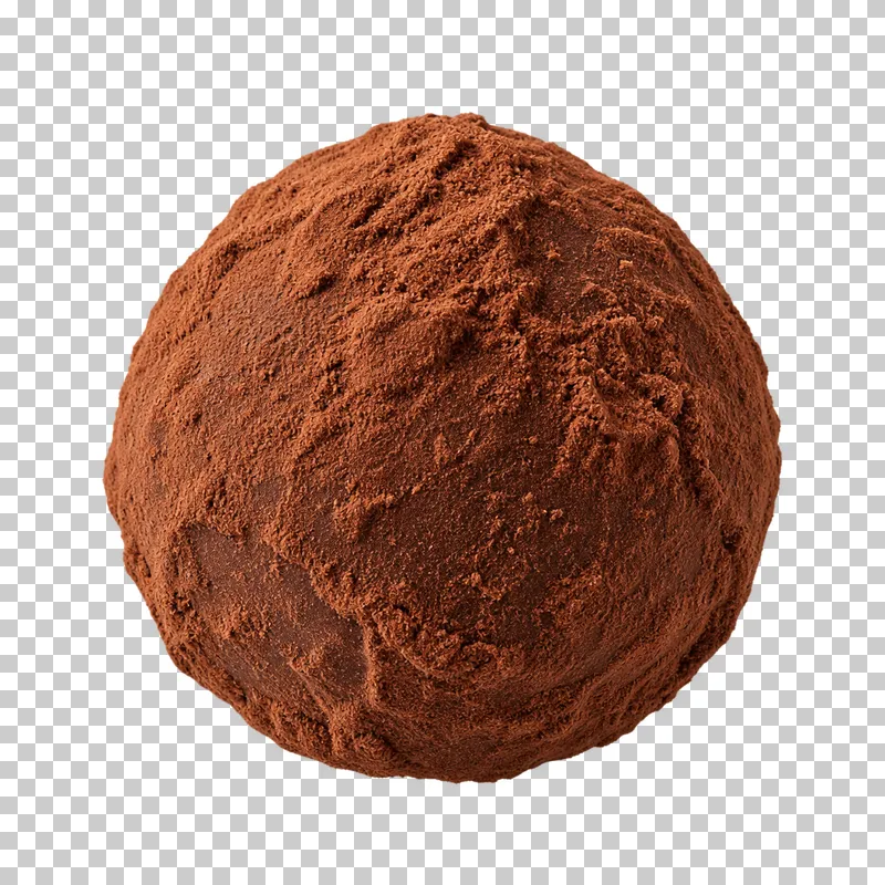 A slightly irregular chocolate truffle coated in fine matte cocoa powder.