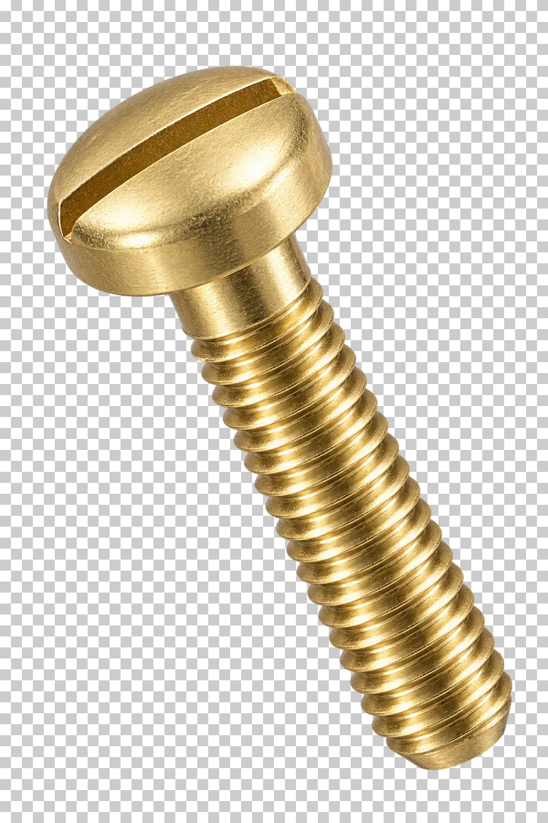 Brass pan-head machine screw with a domed top and straight slot across the head.
