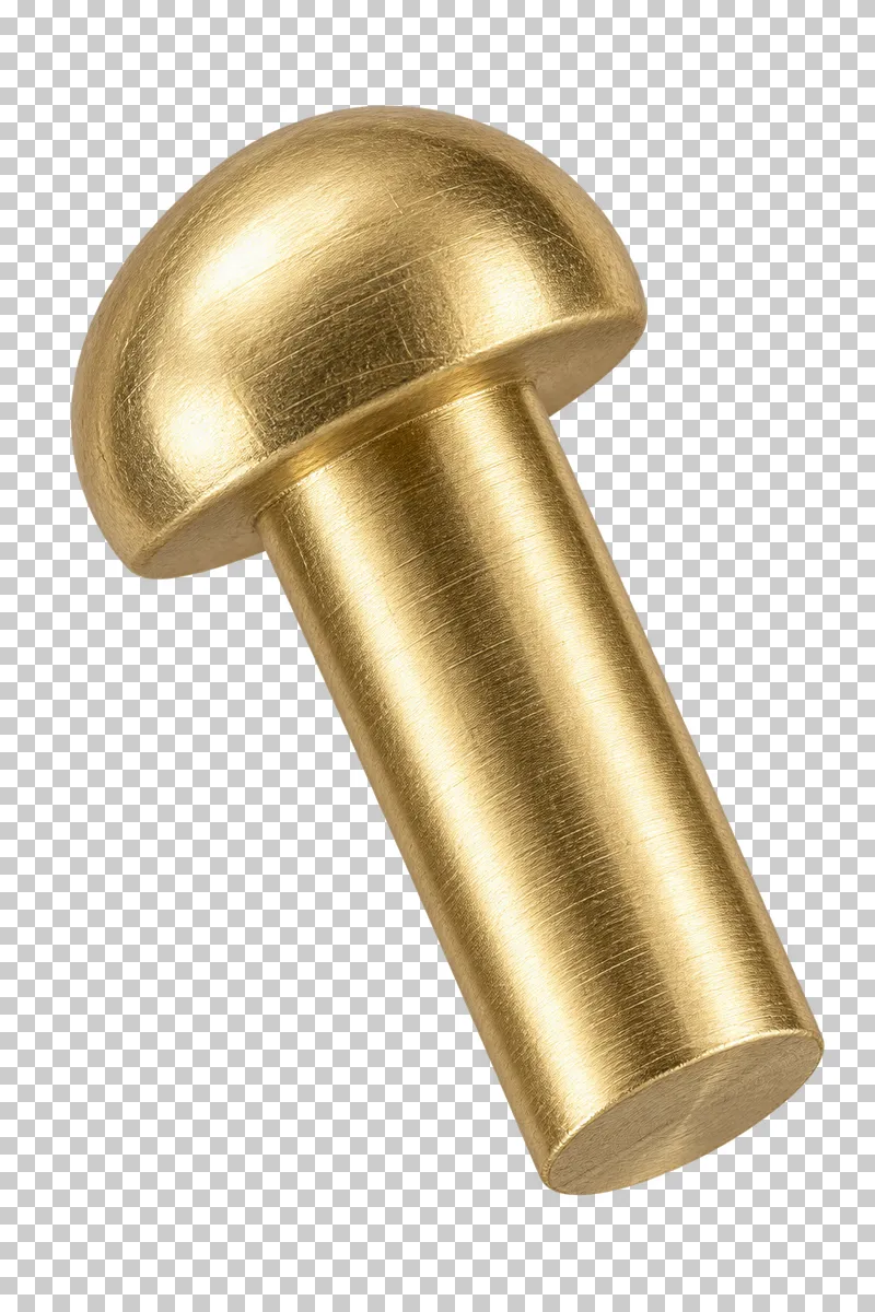 Brass solid rivet with a rounded head and smooth solid shank.