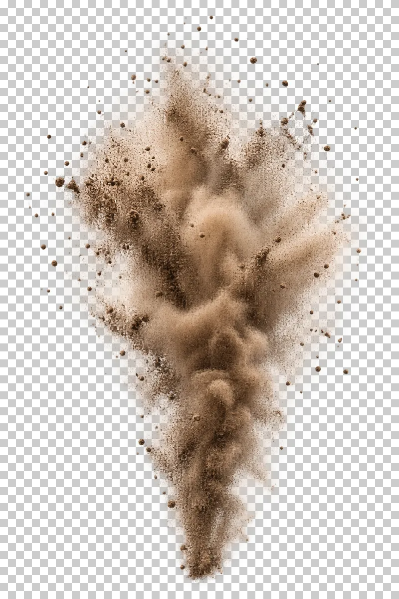 A vertical burst of earth-toned dust and airborne grains.