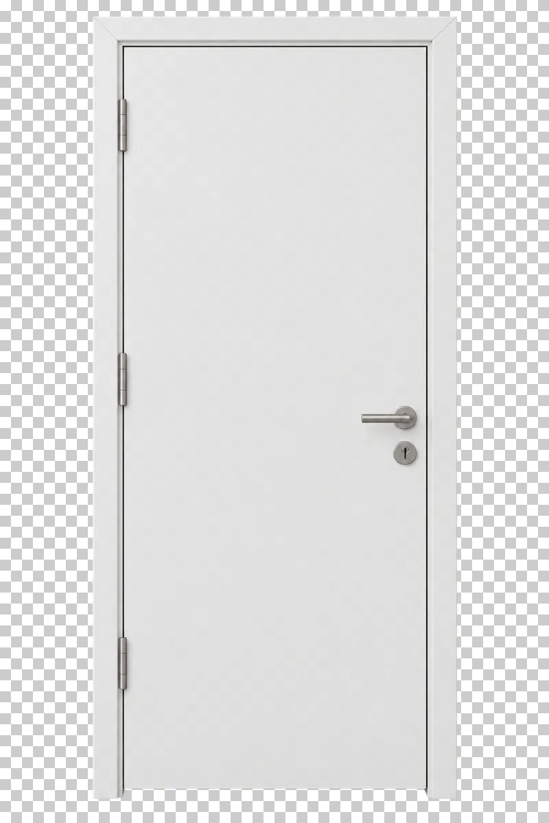 A closed white flush interior door with its frame, visible hinges and silver lever handle.