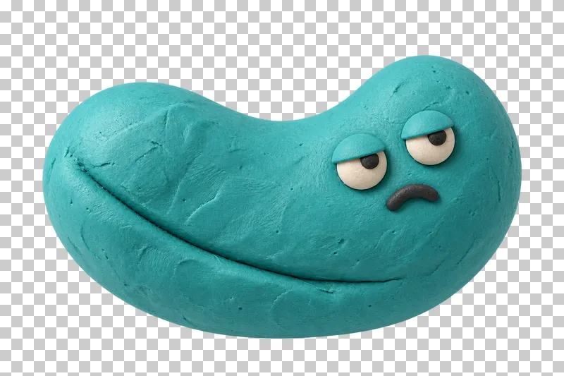 Bean with a longitudinal crease in turquoise matte handmade plasticine, with a mildly grumpy expression.