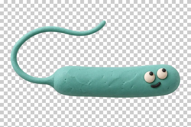 Long rod with one flagellum in turquoise matte handmade plasticine, with a curious expression.