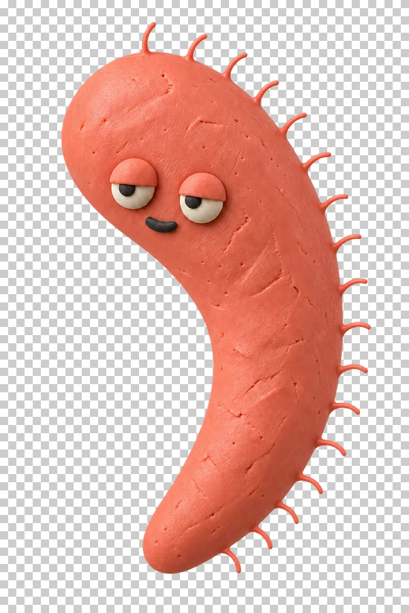 Comma with fine cilia in coral matte handmade plasticine, with a sleepy expression.