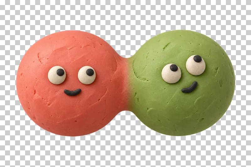 Pair of joined balls in coral and pistachio matte handmade plasticine, with a calm + curious expression.