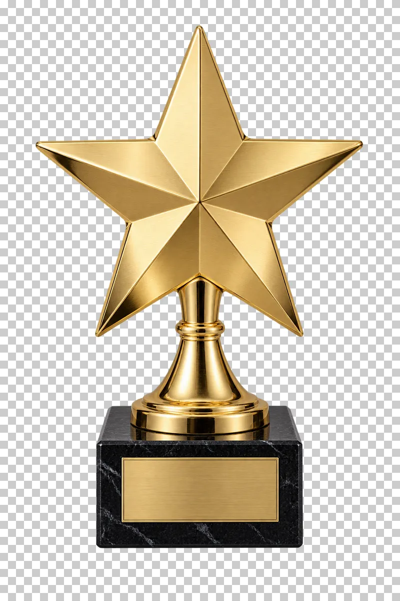 A gold-plated metal star award on a black stone base.