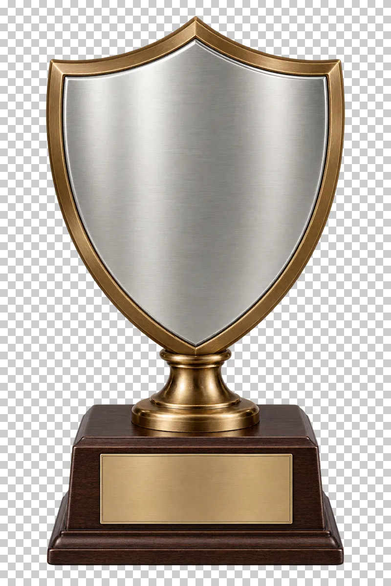 A silver metal shield award with a bronze rim and stem on a dark wooden base.