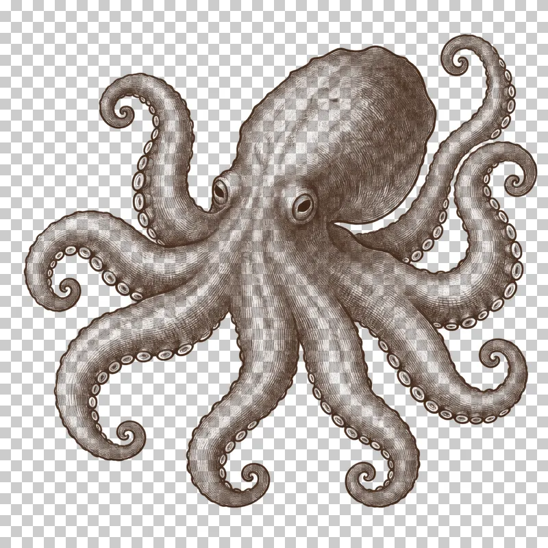 A dark-brown engraved kraken with an octopus-like mantle, two eyes and eight curling arms.