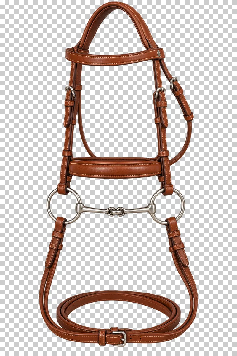 A complete cognac leather snaffle bridle with browband, noseband, cheekpieces, bit and looped reins.