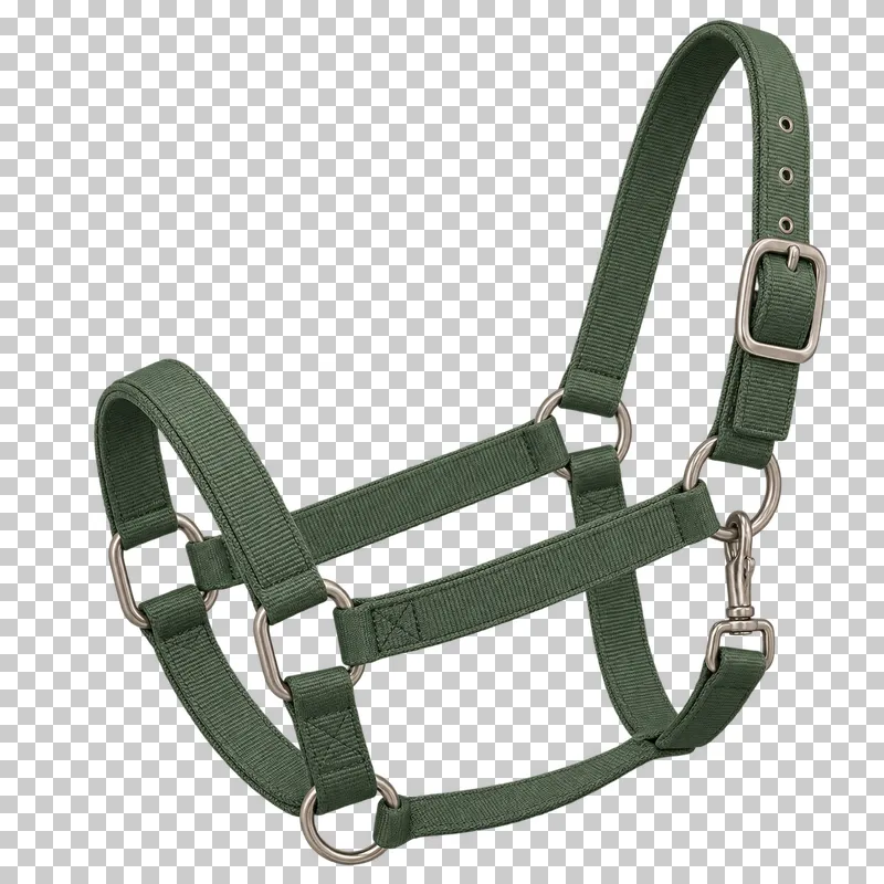 A muted green webbing halter with adjustable straps and brushed steel fittings.