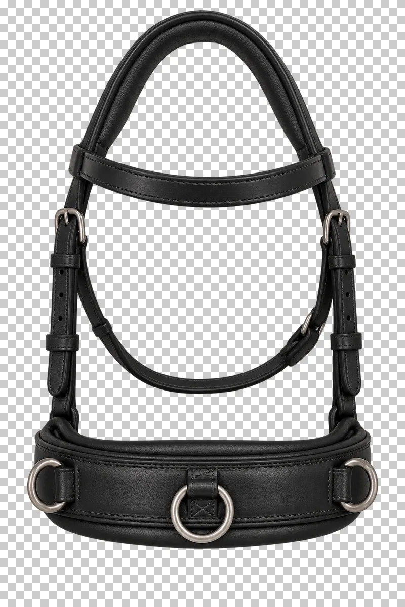 A black lunging cavesson with padded noseband, adjustable straps and steel attachment rings.