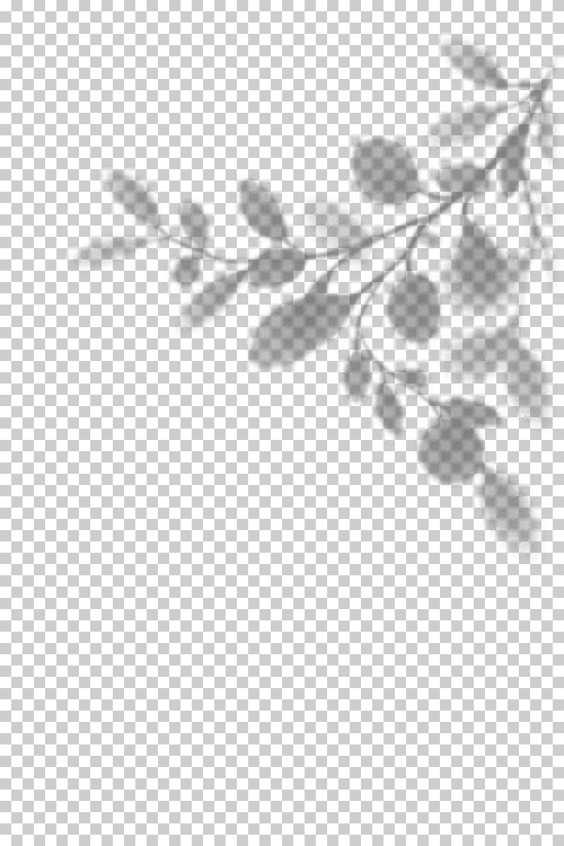 Loose eucalyptus branch shadow with rounded leaves and irregular gaps.