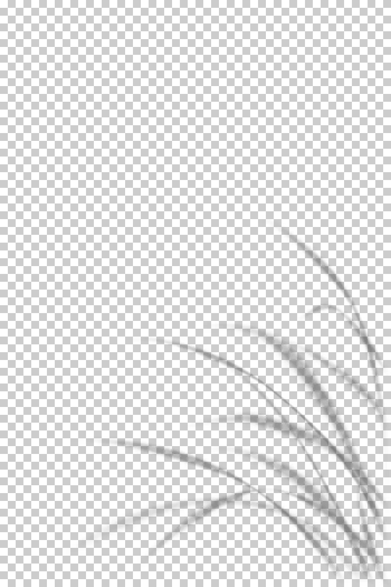 A few long bowed grass shadows with clear space above.
