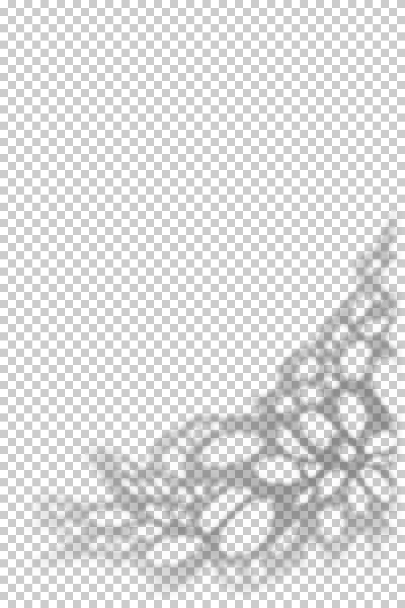 Large-pattern floral lace shadow with open gaps and soft edges.