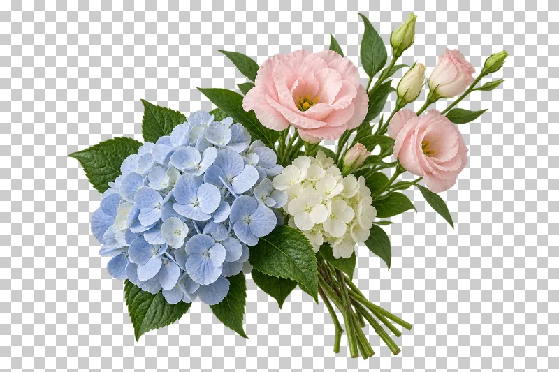 An asymmetric bouquet of blue and ivory hydrangea with blush eustoma.