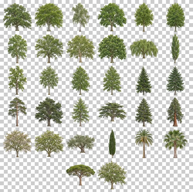 Trees for Architecture and Landscape PNG Collection: all 32 elements in one grid