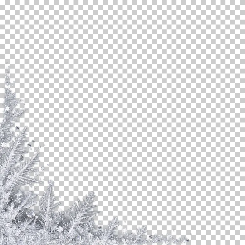 Delicate ice crystal frost concentrated in one corner.