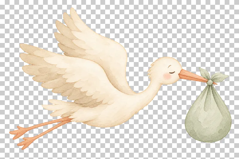 Watercolor illustration of stork with a bundle.