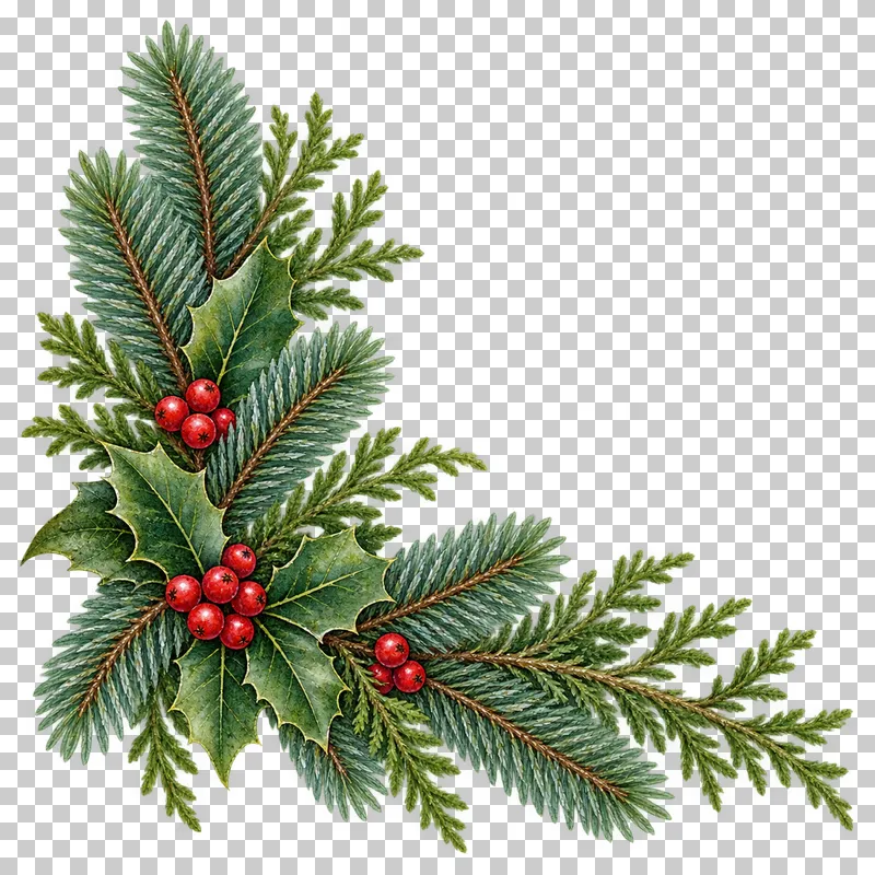 Asymmetric watercolor evergreen corner with blue-green needles, cedar sprays, holly, and red berries.