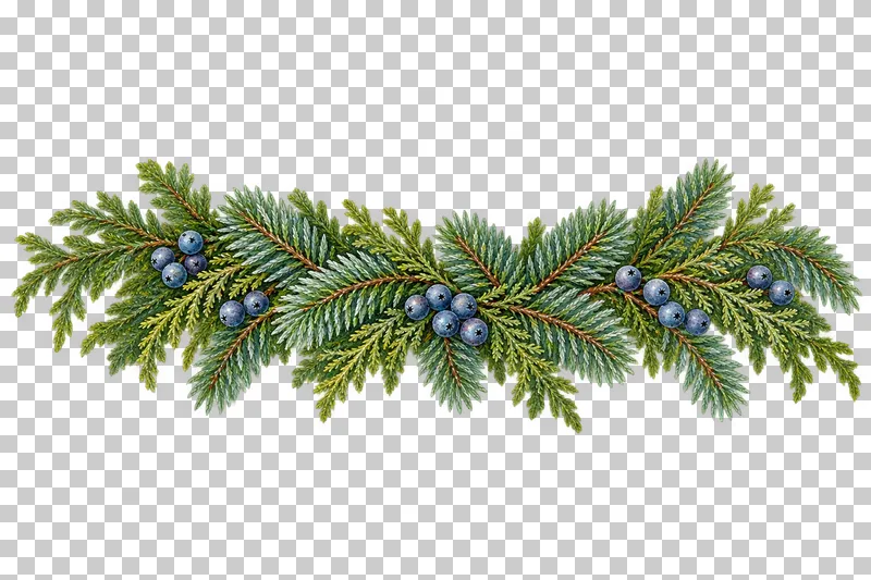Horizontal watercolor winter border of fir, cedar, and blue-berried juniper.