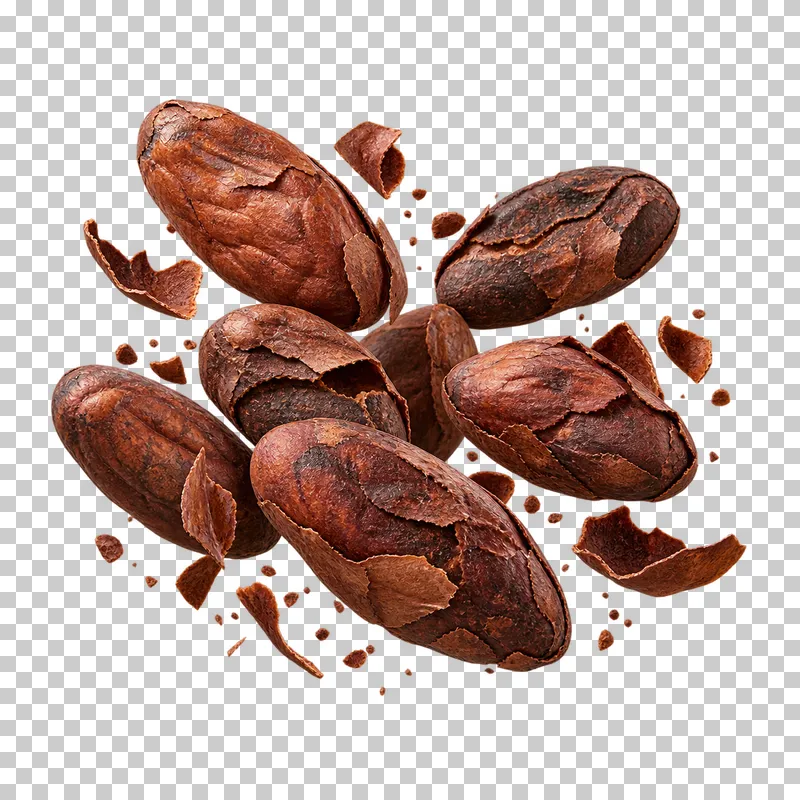 Roasted cacao beans with wrinkled brown shells and small loose shell pieces.