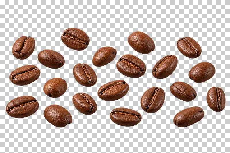 A wide sparse arrangement of individual roasted coffee beans.