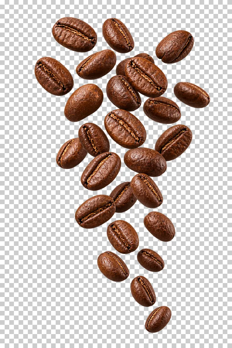 A vertical cascade of roasted coffee beans suspended in the air.