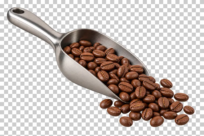 A stainless steel scoop spilling medium-roasted coffee beans.