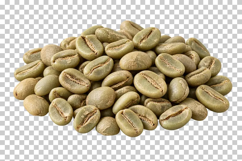 A pile of pale green unroasted coffee beans.