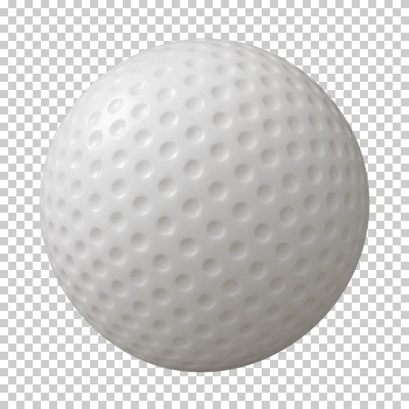 A field hockey ball.