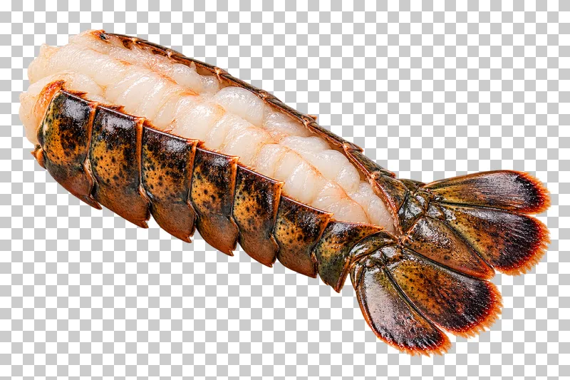Split raw lobster tail, isolated on a transparent background.
