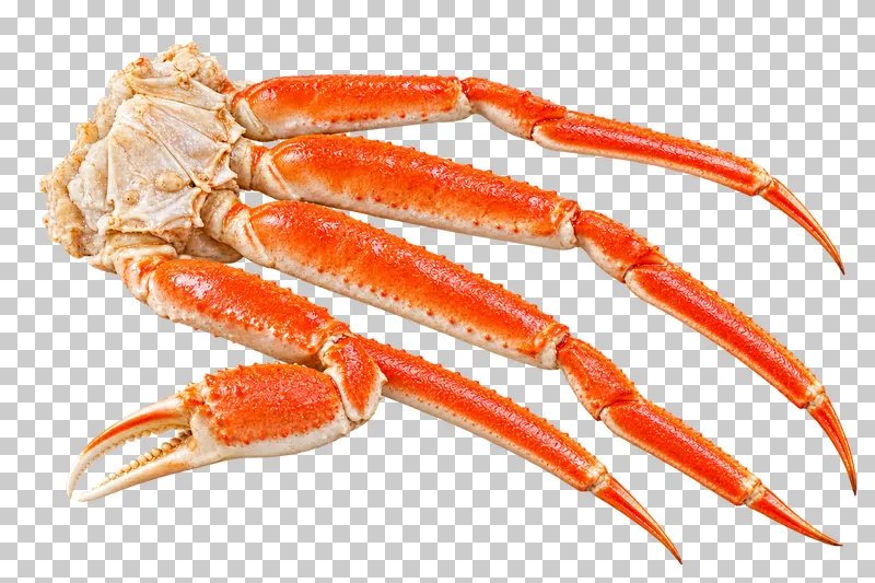 Cooked snow crab leg cluster, isolated on a transparent background.