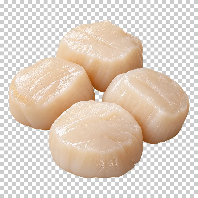 Raw scallop meats, isolated on a transparent background.
