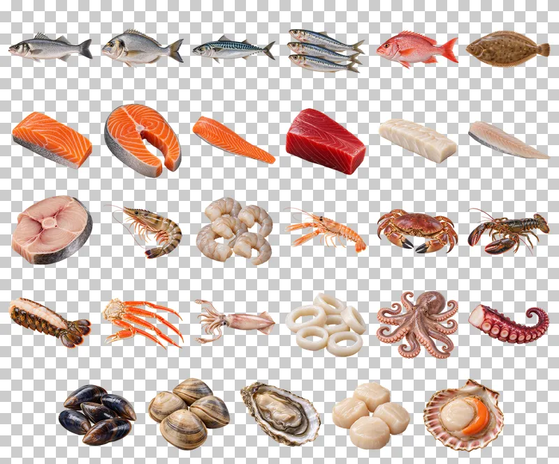 Fish and Seafood Market Photo PNG Collection: all 29 elements in one grid
