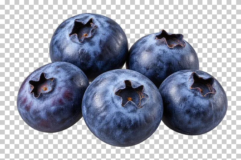 Five blueberries with dusty blue skins and star-shaped blossom crowns.