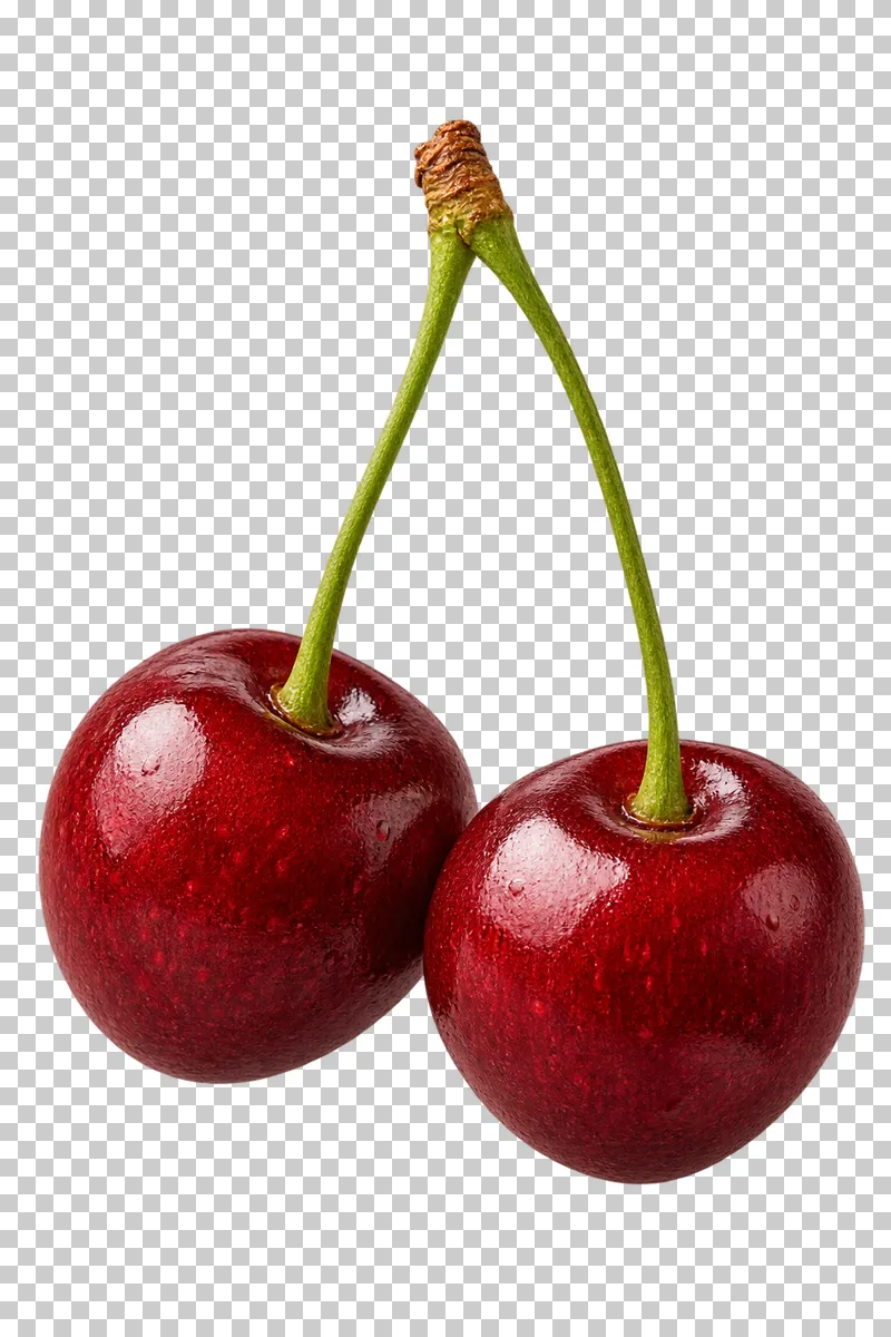 Two dark red cherries attached to complete green stems joined at the top.