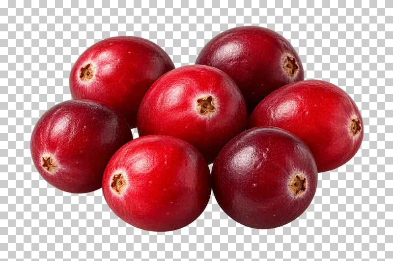 Seven red cranberries with natural skin variation and small blossom marks.