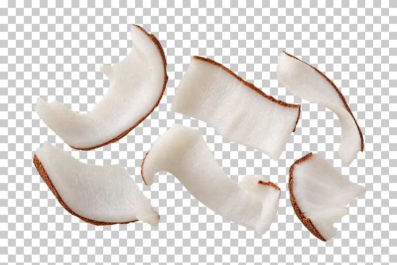 Six thin curled coconut flakes with white flesh and narrow brown skin edges.