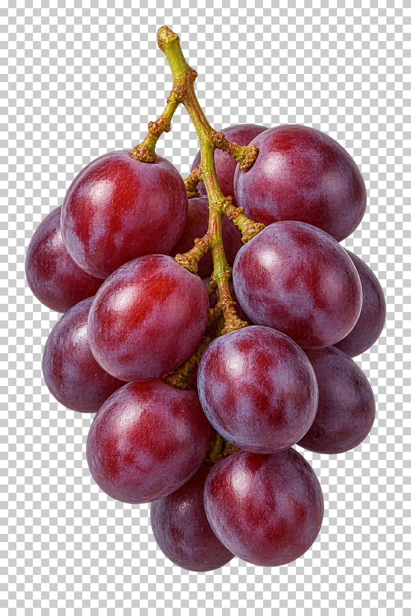 A short bunch of purple grapes with a natural bloom and an intact branching stem.