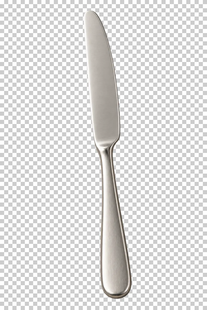A brushed stainless-steel table knife with a rounded dining blade and smooth handle.