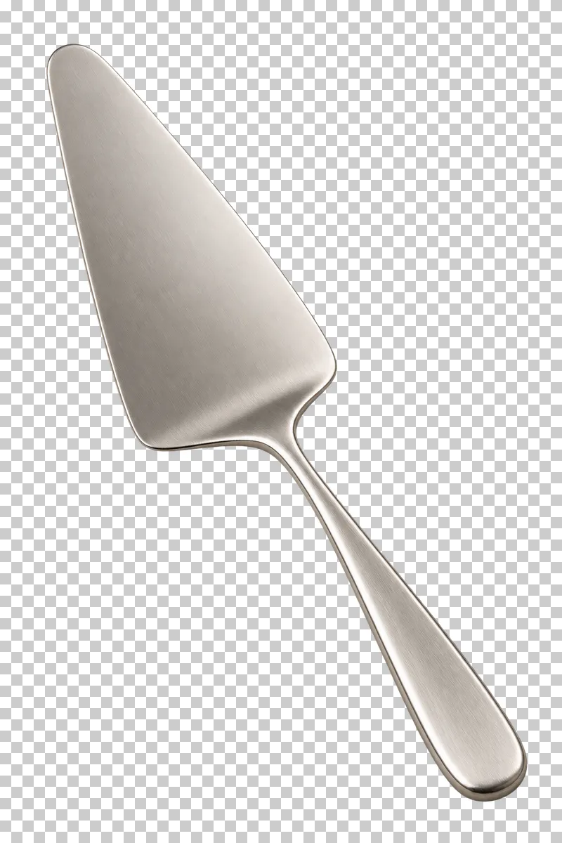 A stainless-steel cake server with a triangular serving blade and rounded handle.