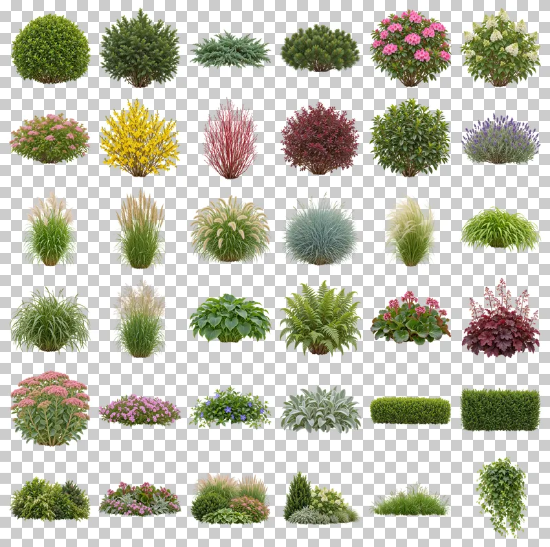 Landscape Shrubs, Grasses and Groundcover PNG Collection: all 36 elements in one grid